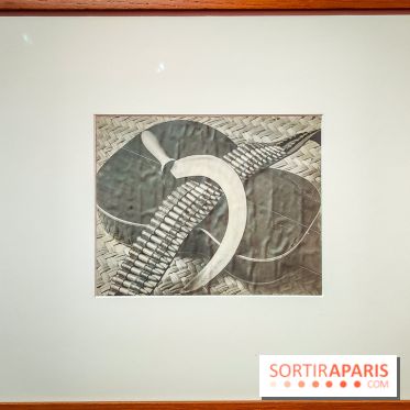 Tina Modotti : l'exposition photo rétrospective au Jeu de Paume - nos photos - IMG20240212101448