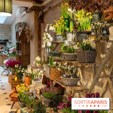 Cordelia Castellane Coffee Flower Shop
