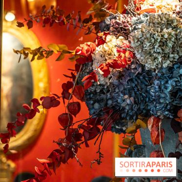 Le Procope restaurant -  A7C5542