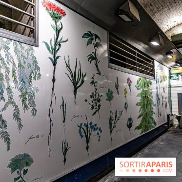 Le Métro Tuileries en mode végétal -  A7C5668