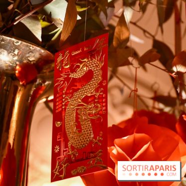 Visuels Nouvel An Lunaire / Nouvel An Chinois - DSC 0638