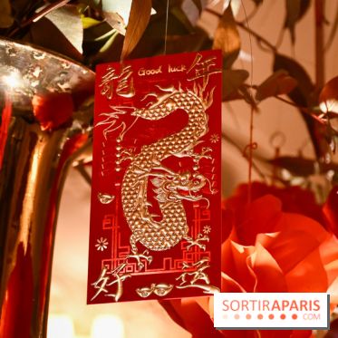 Visuels Nouvel An Lunaire / Nouvel An Chinois - DSC 0637