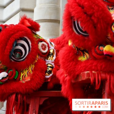 Visuels Nouvel An Lunaire / Nouvel An Chinois - DSC 0615