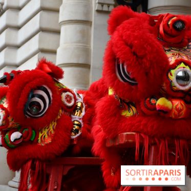 Visuels Nouvel An Lunaire / Nouvel An Chinois - DSC 0612