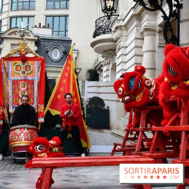 Visuels Nouvel An Lunaire / Nouvel An Chinois - DSC 0610