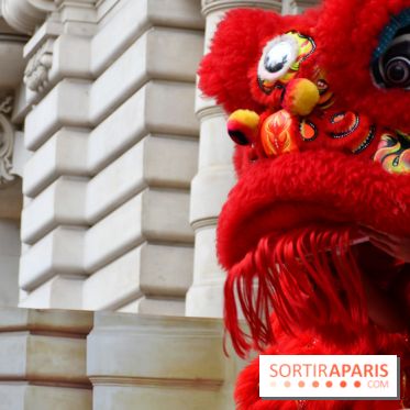 Visuels Nouvel An Lunaire / Nouvel An Chinois - DSC 0598