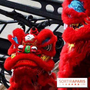 Visuels Nouvel An Lunaire / Nouvel An Chinois - DSC 0589