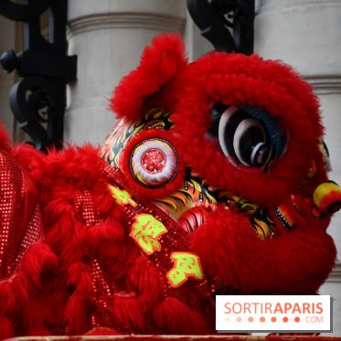 Visuels Nouvel An Lunaire / Nouvel An Chinois - DSC 0586
