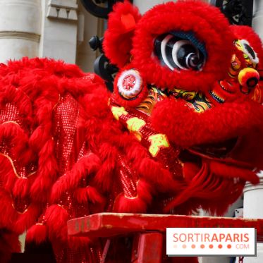 Visuels Nouvel An Lunaire / Nouvel An Chinois - DSC 0583