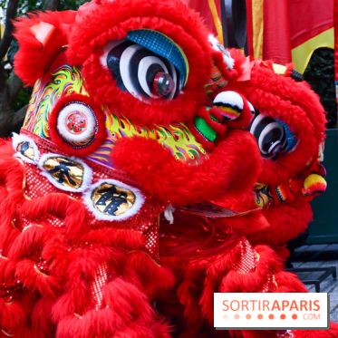 Visuels Nouvel An Lunaire / Nouvel An Chinois - DSC 0551