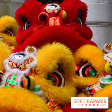 Visuels Nouvel An Lunaire / Nouvel An Chinois - DSC 0519