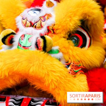 Visuels Nouvel An Lunaire / Nouvel An Chinois - DSC 0517