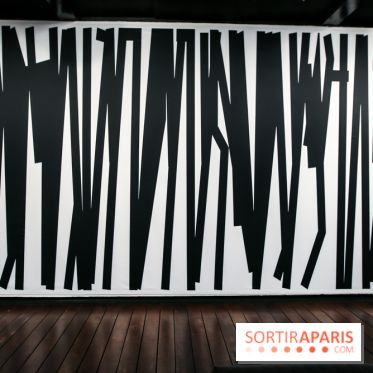 Tania Mouraud, nos photos de son expo à Fluctuart