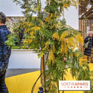 Exposition Signal de Mohamed Bourouissa au Palais de Tokyo - IMG 4475