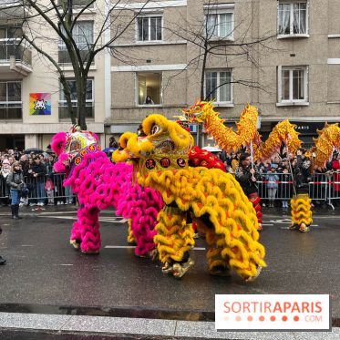 Défilé du Nouvel an Lunaire du 13e 2024 - nos photos - image00036