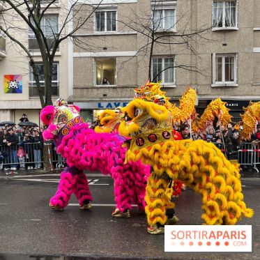 Défilé du Nouvel an Lunaire du 13e 2024 - nos photos - image00037