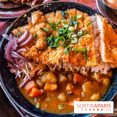 Sekitan, le restaurant street food de brochettes japonaises -  curry japonais