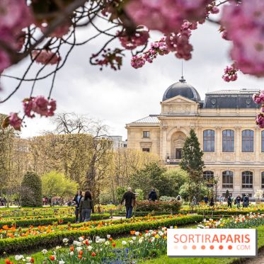 Visuel Paris 5e -  jardin des plantes - museum - printemps - cerisiers