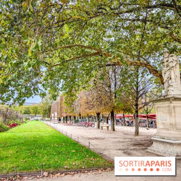 Visuel Paris 1er - jardin des Tuileries automne 