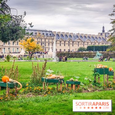 Visuel Paris 1er - jardin des Tuileries automne 