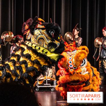 Nouvel An lunaire au Musée Guimet par le Collectif Banh Mi -  A7C6988