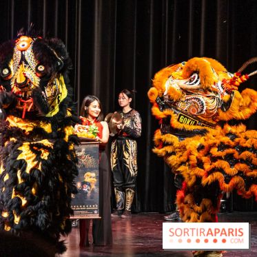 Nouvel An lunaire au Musée Guimet par le Collectif Banh Mi -  A7C6992