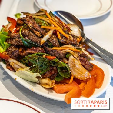 New Hao Khoan, le restaurant chinois et vietnamien, valeur sûre du 13e - salade thaï