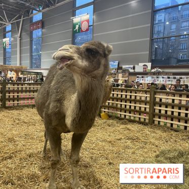 Salon de l'agriculture 2024