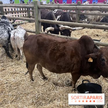 Salon de l'agriculture 2024 - image00058