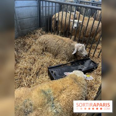 Salon de l'agriculture 2024 - image00047