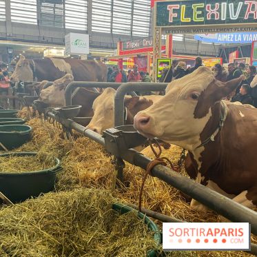 Salon de l'agriculture 2024 - image00045