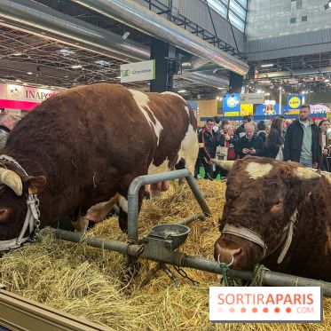 Salon de l'agriculture 2024 - image00041