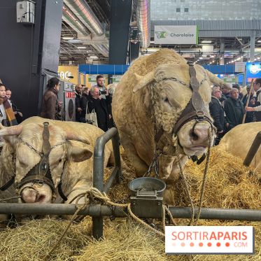 Salon de l'agriculture 2024 - image00042