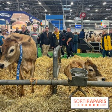 Salon de l'agriculture 2024 - image00035