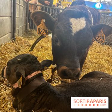 Salon de l'agriculture 2024 - image00034