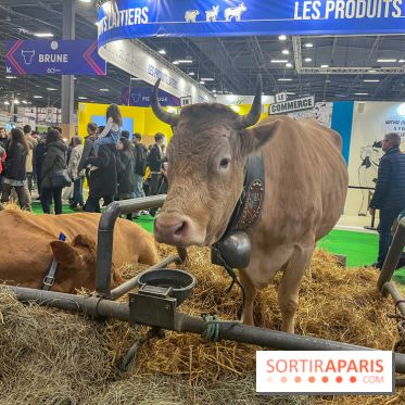 Salon de l'agriculture 2024 - image00033