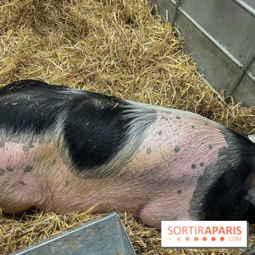 Salon de l'agriculture 2024 - image00028