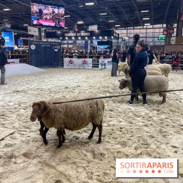 Salon de l'agriculture 2024