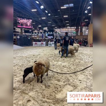Salon de l'agriculture 2024