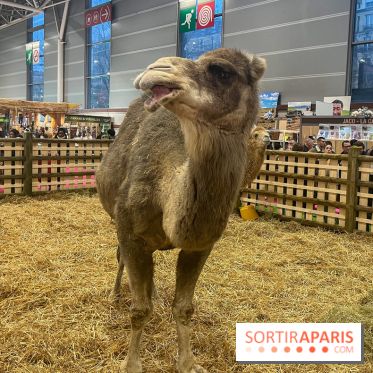 Salon de l'agriculture 2024 - image00001