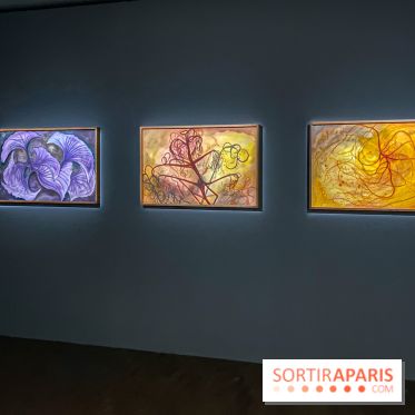 Exposition collective Coming Soon à Lafayette Anticipations - IMG 4732