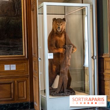 Château de Compiègne -  A7C7329