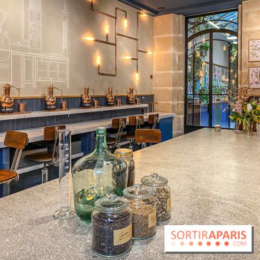La Distillerie de l’Arbre Sec : l'atelier de création de gin à deux pas du Louvre