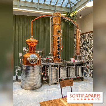 La Distillerie de l’Arbre Sec : l'atelier de création de gin à deux pas du Louvre