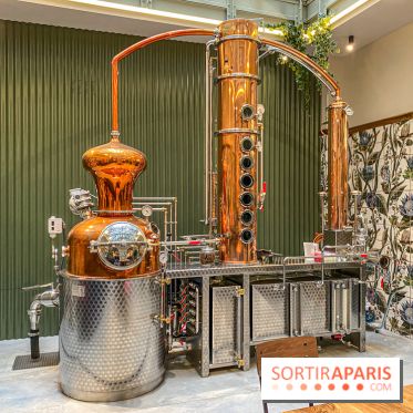 La Distillerie de l’Arbre Sec : l'atelier de création de gin à deux pas du Louvre