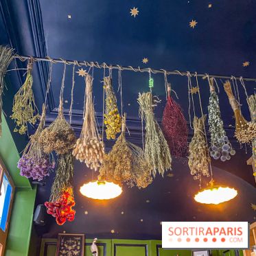 La Distillerie de l’Arbre Sec : l'atelier de création de gin à deux pas du Louvre