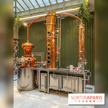 La Distillerie de l’Arbre Sec : l'atelier de création de gin à deux pas du Louvre