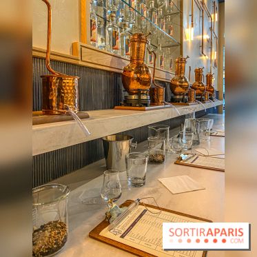 La Distillerie de l’Arbre Sec : l'atelier de création de gin à deux pas du Louvre
