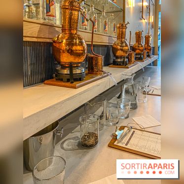 La Distillerie de l’Arbre Sec : l'atelier de création de gin à deux pas du Louvre
