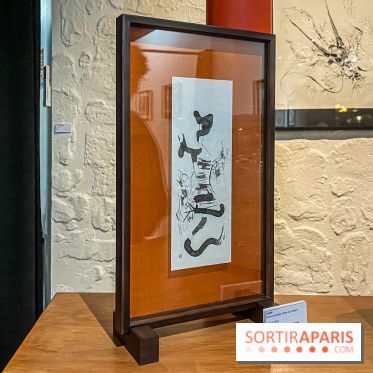 Exposition Sumi et Motion de la calligraphe japonaise Aya Wada à la galerie La Lison - IMG 4930